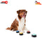 Pet Talking Buttons Train Your Pet to Communicate Battery Operated Customisable